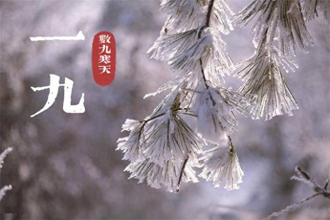 雪”啥预兆答案来了看看有道理吗？AG真人今冬一九暖和“一九不见(图1)